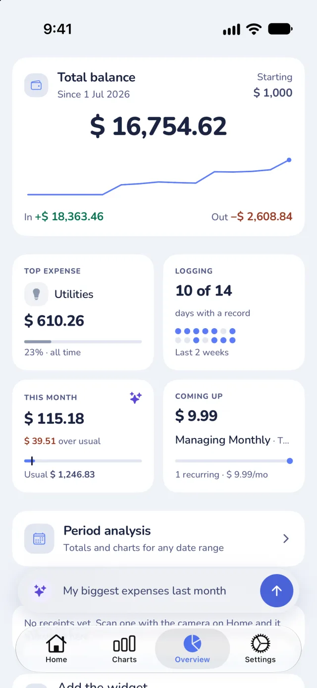 Overview: total balance with a running line, top expense, logging streak, this month and coming up